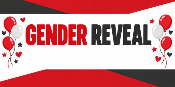 Baby Shower and Gender Reveal banner, type