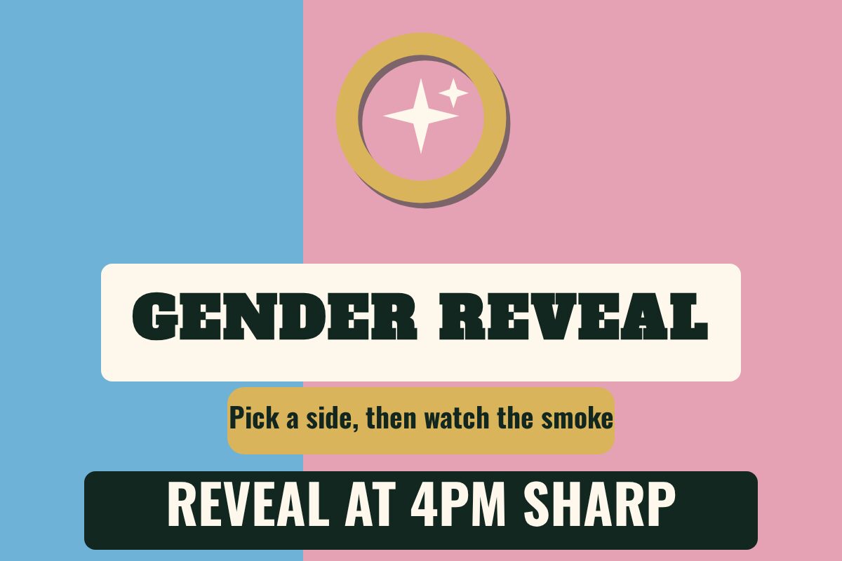 Gender Reveal Celebration yard sign template