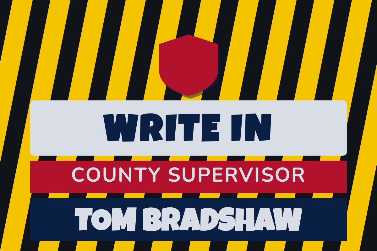 Write-In Candidate Political yard sign template